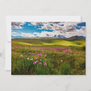 Tarjeta De Agradecimiento Flores Montañas de Altai, Siberia, Rusia