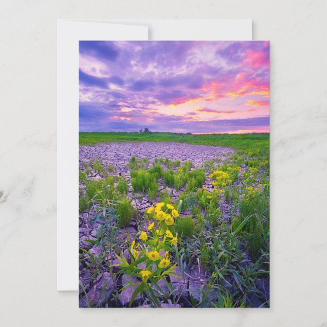 Tarjeta De Agradecimiento Flores | North Dakota Red River Valley (Anverso)