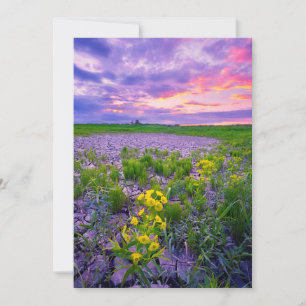 Tarjeta De Agradecimiento Flores   North Dakota Red River Valley