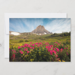 Tarjeta De Agradecimiento Flores Parque nacional Glaciar de Montana