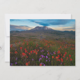 Tarjeta De Agradecimiento Flores Pincel indio y penstemon