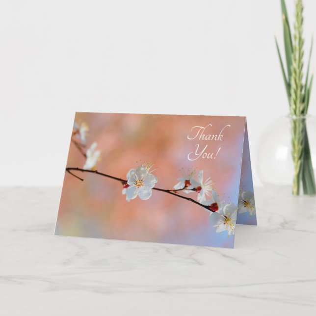 Tarjeta De Agradecimiento Flores preciosas de albaricoque japonesas (Anverso)