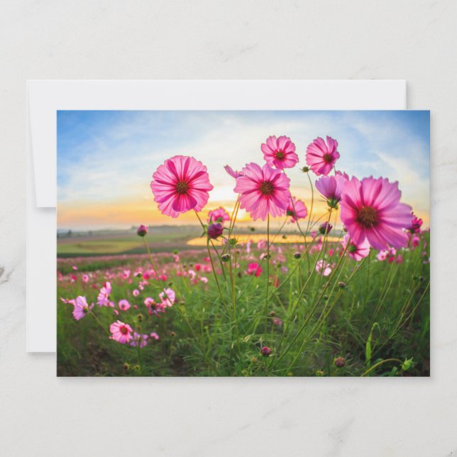 Tarjeta De Agradecimiento Flores |Provincia de Chiang Rai, Tailandia (Anverso)