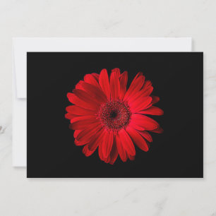 Tarjeta De Agradecimiento Flores Red Gerbera Daisy