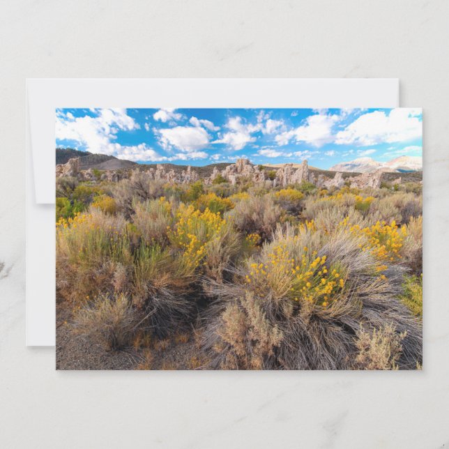 Tarjeta De Agradecimiento Flores | Sagebrush California en flor (Anverso)