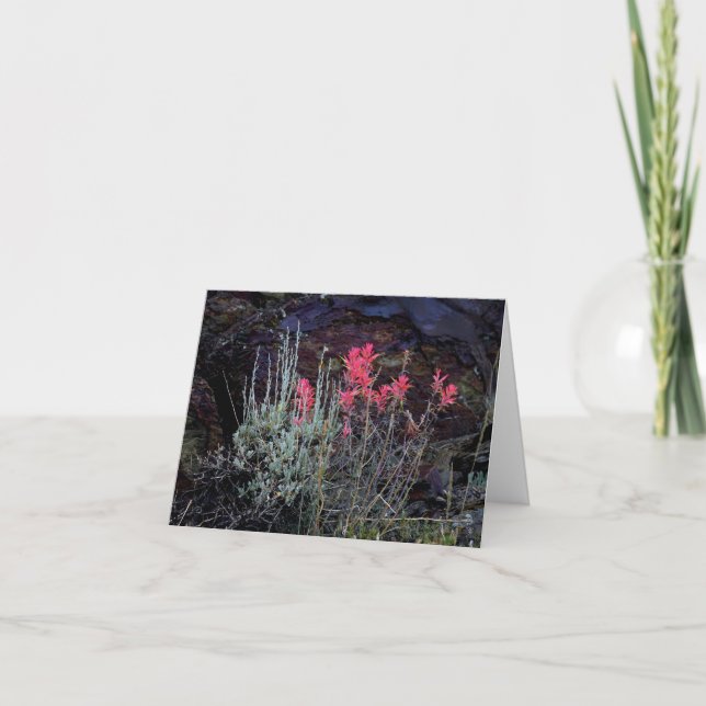 Tarjeta De Agradecimiento Flores silvestres (Anverso)