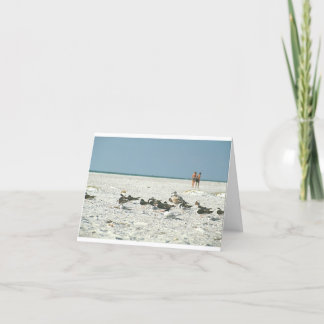 Tarjeta De Agradecimiento Florida Beach con gaviotas marinas fotografía de a