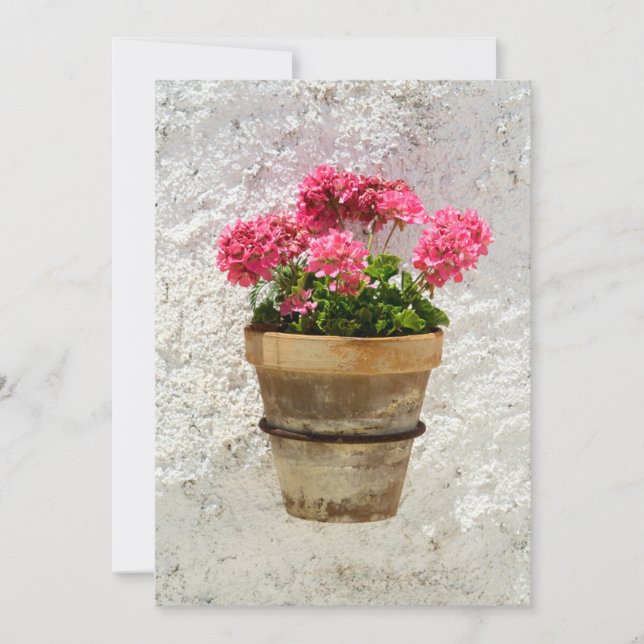 Tarjeta De Agradecimiento Flowers | Geranium In Flower in Pot (Anverso)