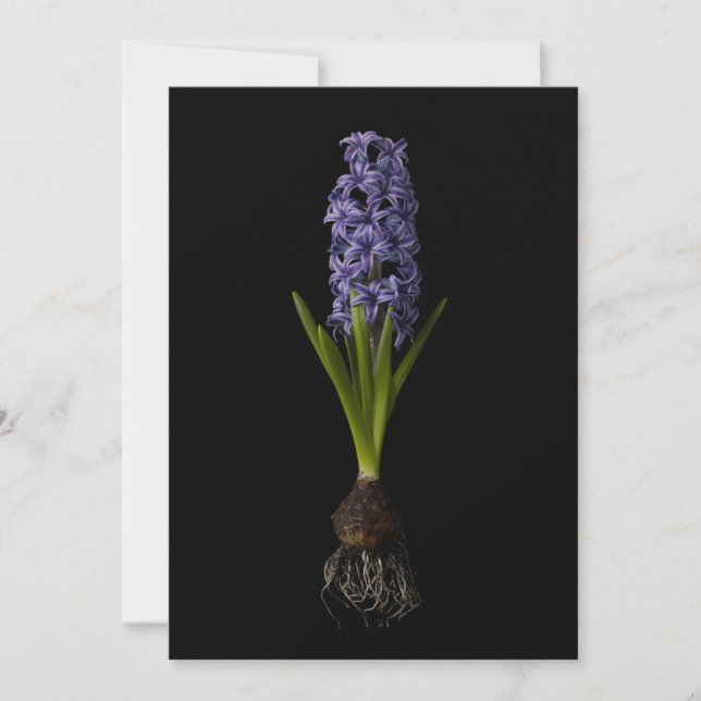 Tarjeta De Agradecimiento Flowers | Purple Hyacinth Bulb (Anverso)