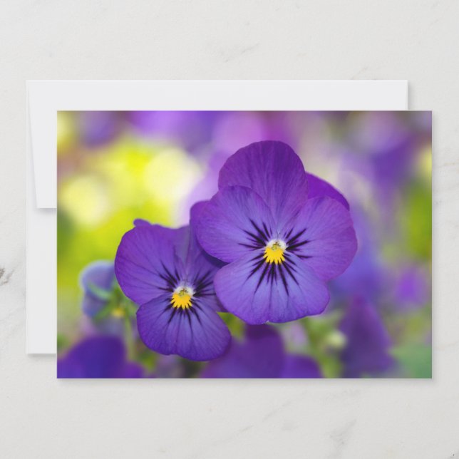 Tarjeta De Agradecimiento Flowers | Purple Pansies (Anverso)