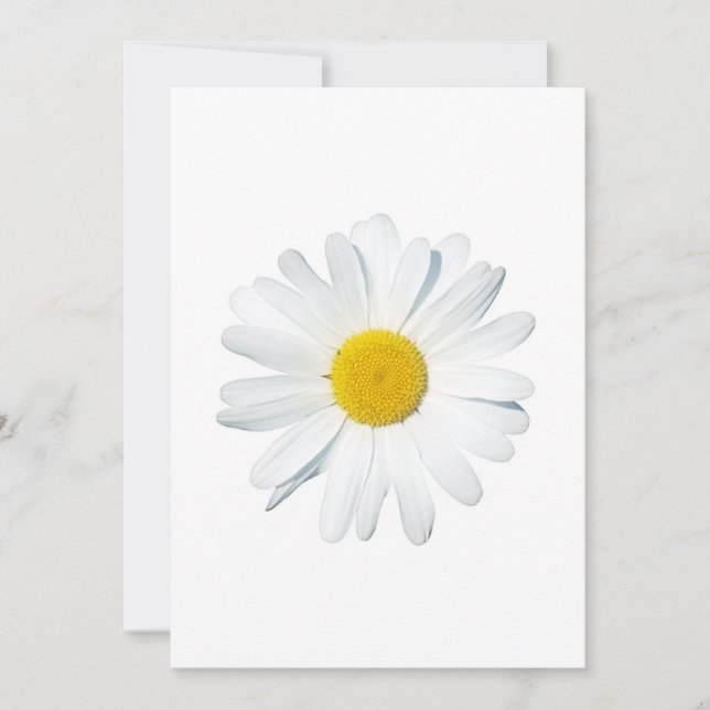 Tarjeta De Agradecimiento Flowers | Single Daisy (Anverso)