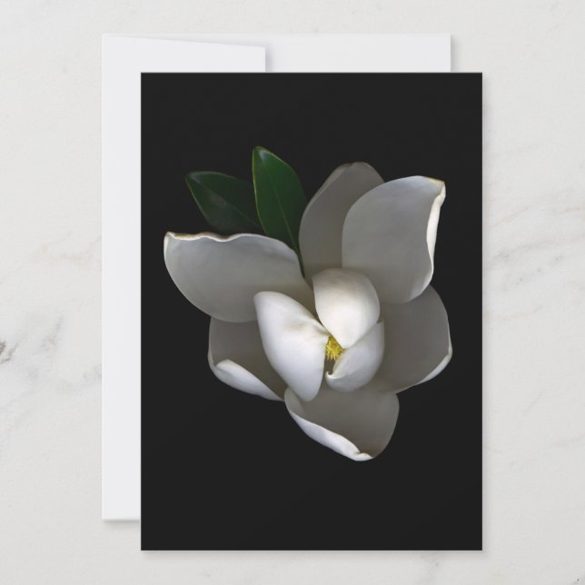 Tarjeta De Agradecimiento Flowers | Single White Magnolia Blossom (Anverso)