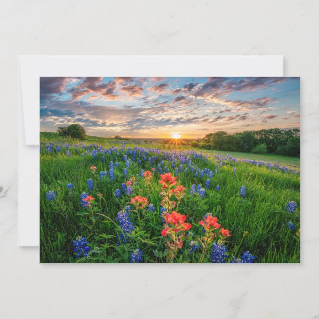 Tarjeta De Agradecimiento Flowers | Texas Bluebonnets & Indian Paintbrush (Anverso)