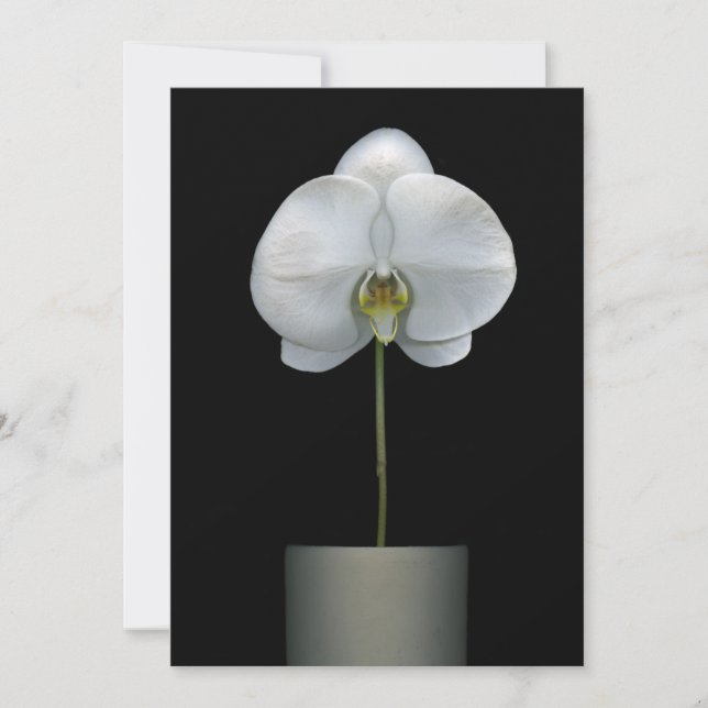 Tarjeta De Agradecimiento Flowers | White Orchid Flower (Anverso)