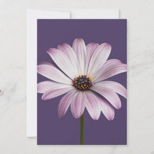 Tarjeta De Agradecimiento Flowers White & Purple Daisy