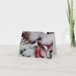 Tarjeta De Agradecimiento Folded Season's Greetings Card