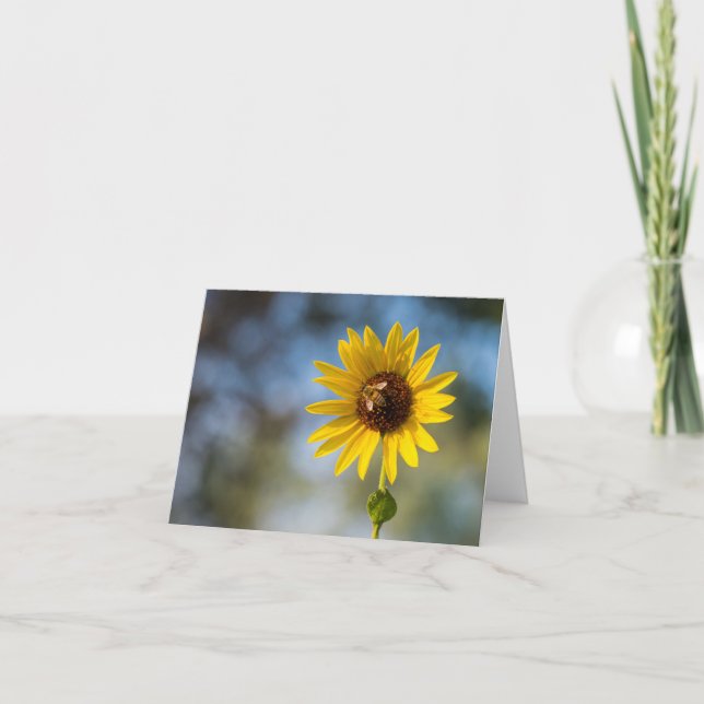 Tarjeta De Agradecimiento Folded Thank You Card (Anverso)