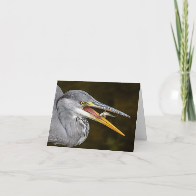 Tarjeta De Agradecimiento Folded Thank You Card (Anverso)