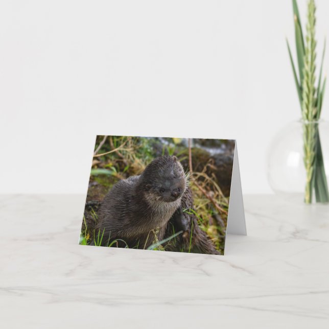 Tarjeta De Agradecimiento Folded Thank You Card (Anverso)