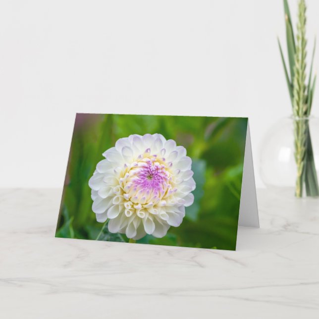 Tarjeta De Agradecimiento Folded Thank You Card (Anverso)