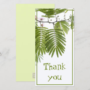 Tarjeta De Agradecimiento Follaje del exótico árbol de seda persa
