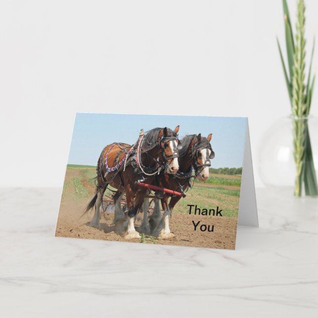 Tarjeta De Agradecimiento Foto agrícola de Horse Clydesdale (Anverso)