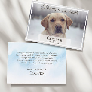 Tarjeta De Agradecimiento Foto conmemorativa de mascota para siempre en nues