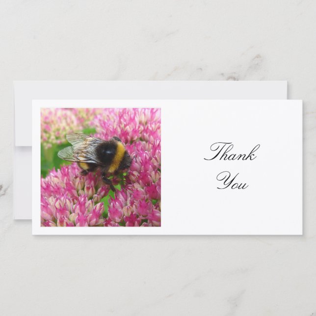 Tarjeta De Agradecimiento Foto Cuadrada - Abeja Bumble (Anverso)