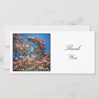Tarjeta De Agradecimiento Foto cuadrada - Árbol de Magnolia