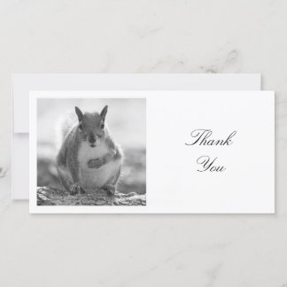 Tarjeta De Agradecimiento Foto cuadrada - ardilla - Blanco y negro