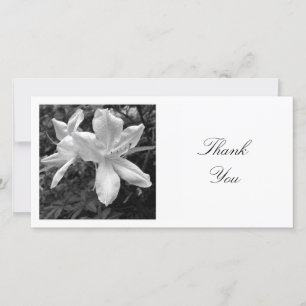 Tarjeta De Agradecimiento Foto cuadrada - Azaleas