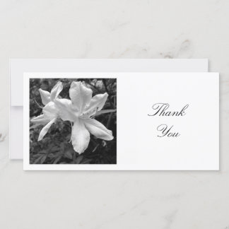 Tarjeta De Agradecimiento Foto cuadrada - Azaleas