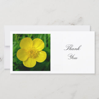 Tarjeta De Agradecimiento Foto cuadrada - Buttercup