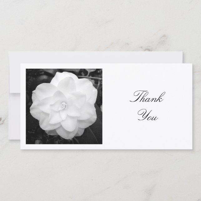 Tarjeta De Agradecimiento Foto cuadrada - Camellia blanca (Anverso)