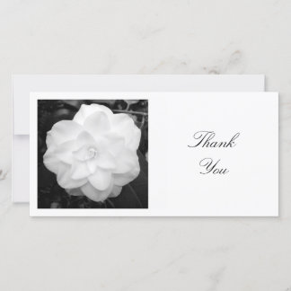 Tarjeta De Agradecimiento Foto cuadrada - Camellia blanca
