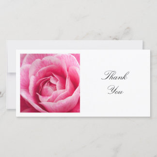 Tarjeta De Agradecimiento Foto cuadrada - Camellia rosa