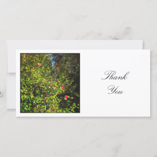 Tarjeta De Agradecimiento Foto cuadrada - Camellias