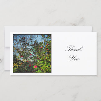 Tarjeta De Agradecimiento Foto cuadrada - Camellias 02