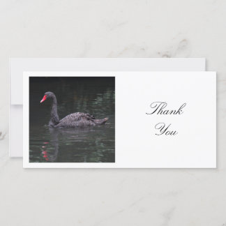 Tarjeta De Agradecimiento Foto cuadrada - Cisne negro