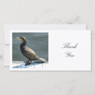 Tarjeta De Agradecimiento Foto Cuadrada - Cormorán