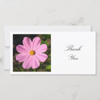 Tarjeta De Agradecimiento Foto cuadrada - Cosmos rosados