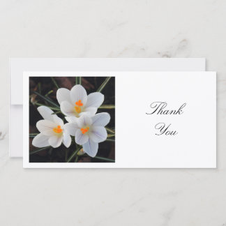 Tarjeta De Agradecimiento Foto Cuadrada - Crocus Blancos