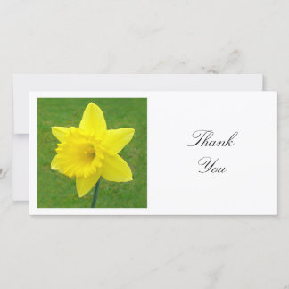 Tarjeta De Agradecimiento Foto cuadrada - Daffodil