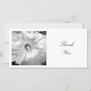 Tarjeta De Agradecimiento Foto cuadrada - Daffodil