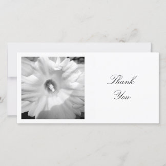 Tarjeta De Agradecimiento Foto cuadrada - Daffodil