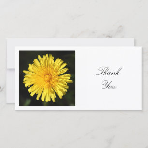 Tarjeta De Agradecimiento Foto cuadrada - Dandelion