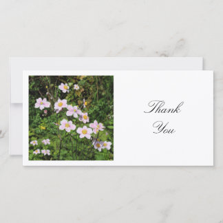 Tarjeta De Agradecimiento Foto Cuadrada - Flores de Malva