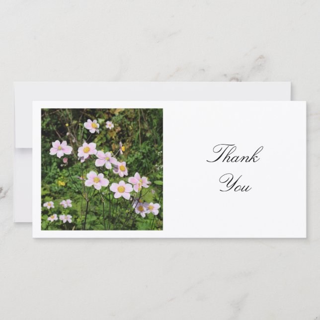 Tarjeta De Agradecimiento Foto Cuadrada - Flores de Malva (Anverso)