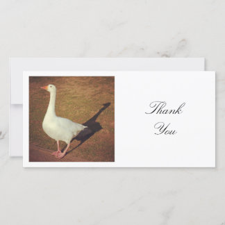 Tarjeta De Agradecimiento Foto cuadrada - Goose