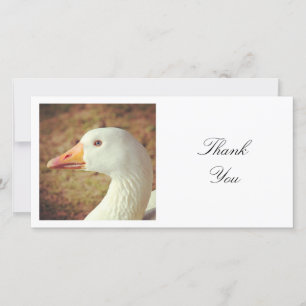 Tarjeta De Agradecimiento Foto cuadrada - Goose